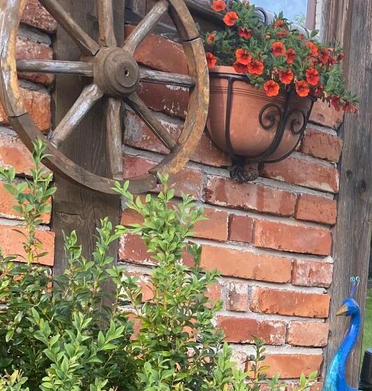 住宿加早餐 Penzión Vila Petra Bed&breakfast