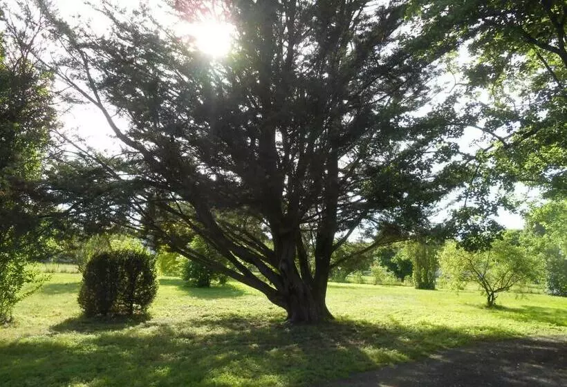 Clos Du Bois Brard B&b