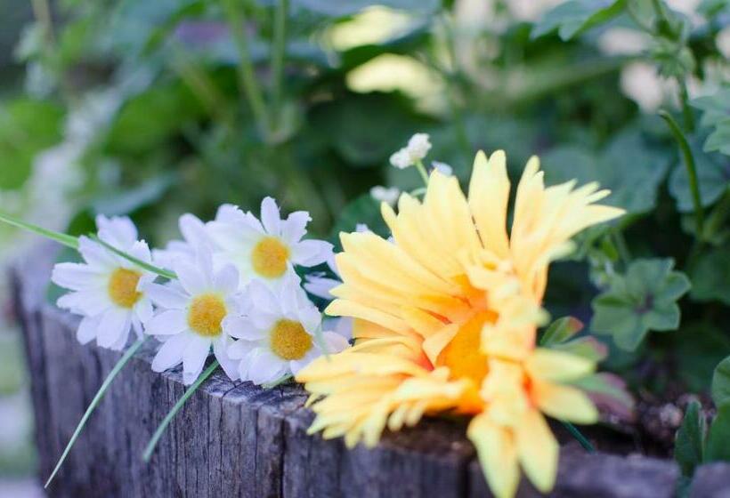 בית מלון כפרי Agriturismo Pompagnano