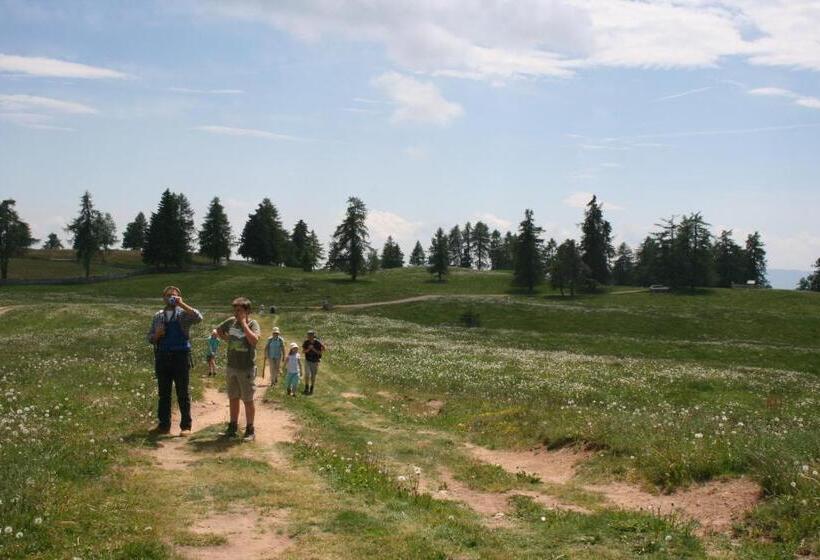 ホテル Neu Schötzerhof