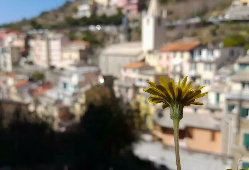 ペンション Casa Vacanze Riomaggiore