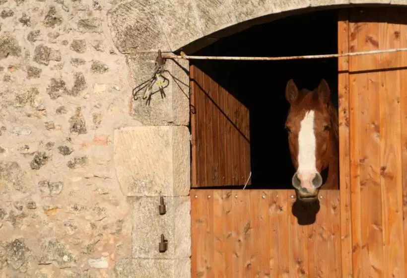 Majatalo Mas Des Clauzals