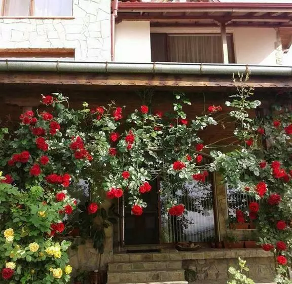پانسیون Todorovi Guest House