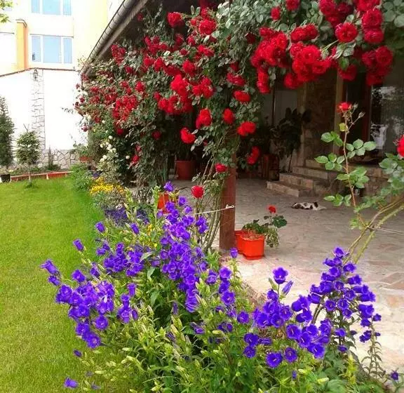 پانسیون Todorovi Guest House