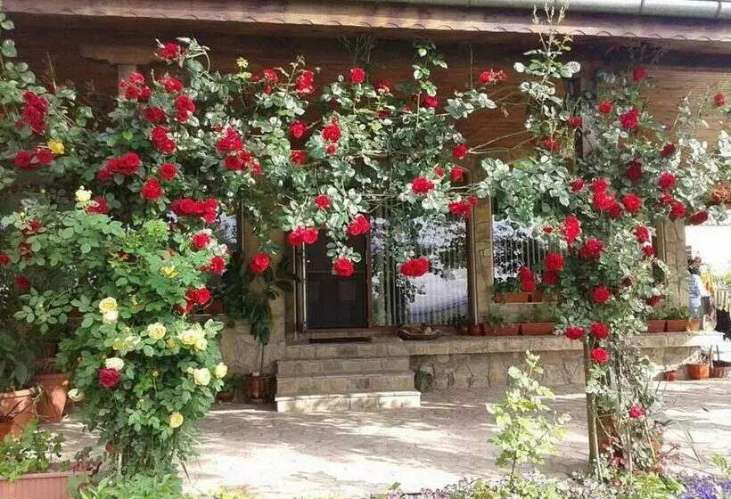 پانسیون Todorovi Guest House