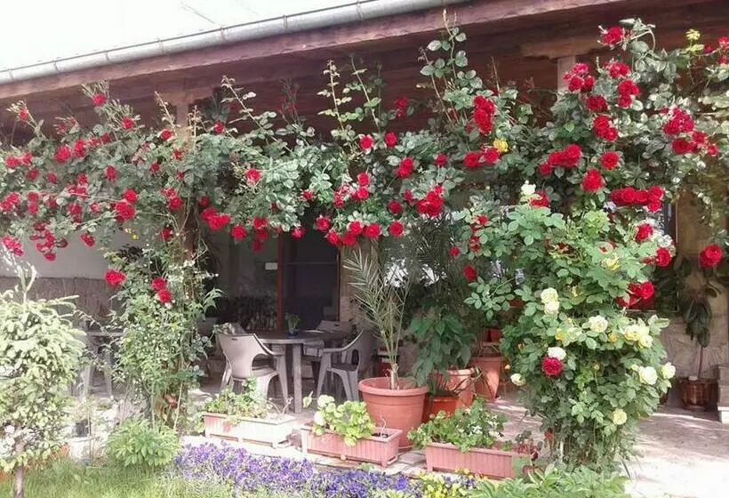 پانسیون Todorovi Guest House