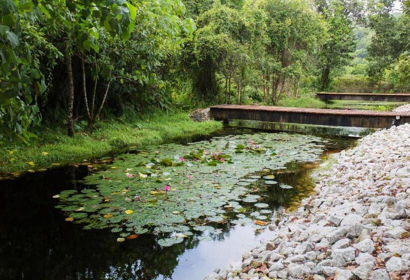 منتجع La Pari Pari