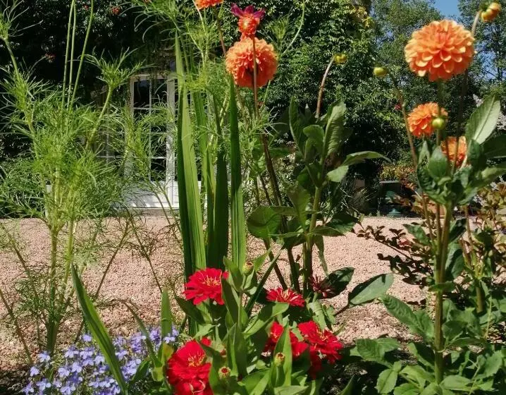 Aamiaismajoitus (B&B) Domaine De La Brugere