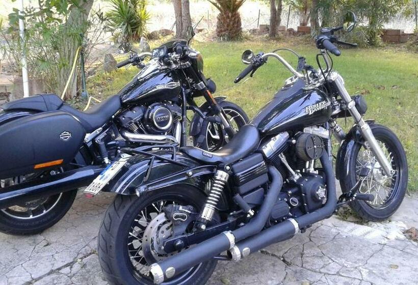 Bed & Breakfast Il Rosmarino