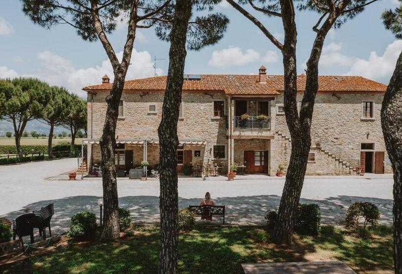 호텔 Terra Di Cortona