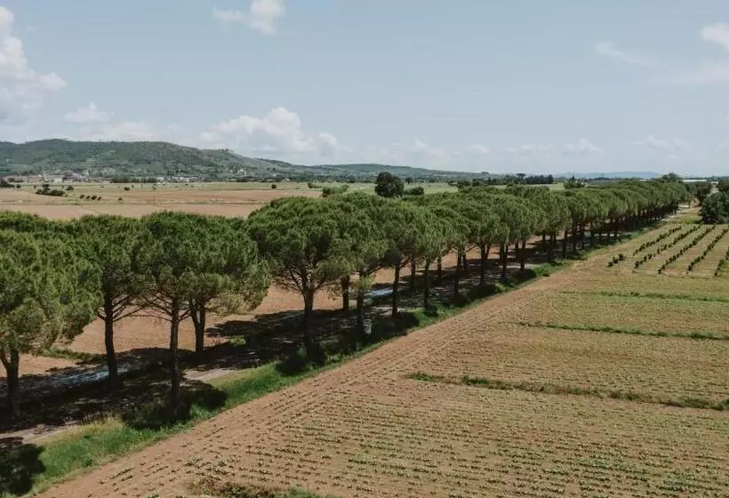 هتل Terra Di Cortona