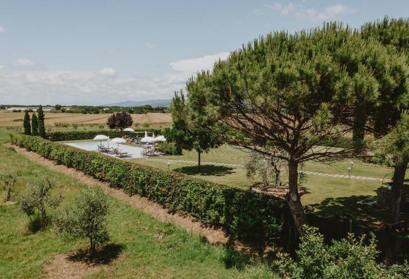 호텔 Terra Di Cortona