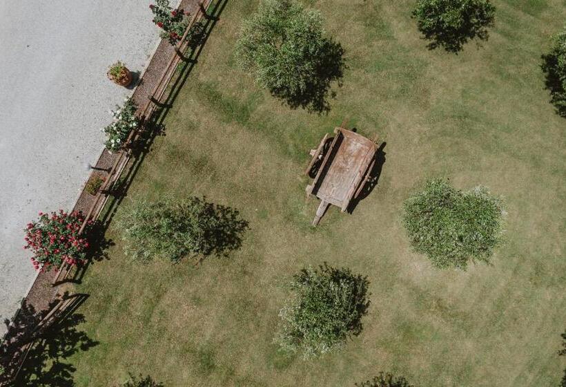 호텔 Terra Di Cortona