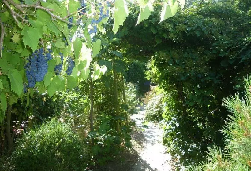 Majatalo Au Gîte De Binche