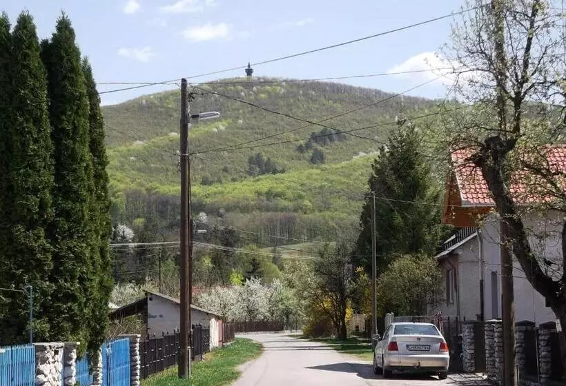 ペンション Czakó Vendégház és Nyaralóudvar