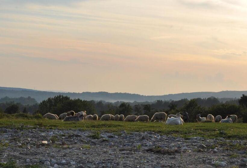 פנסיון La Conac