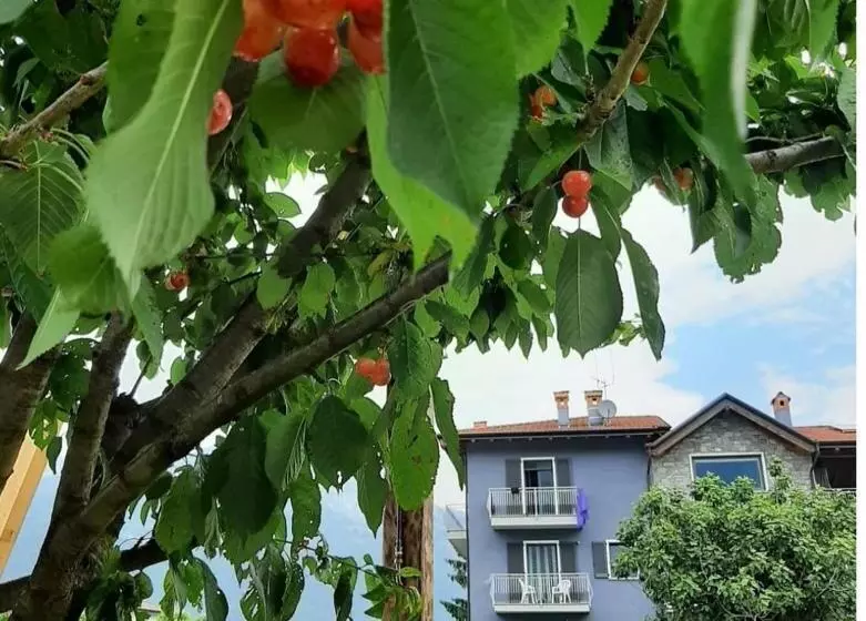 B&b Zia Vivina