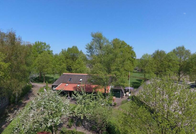 Bed and Breakfast Rheezerstee