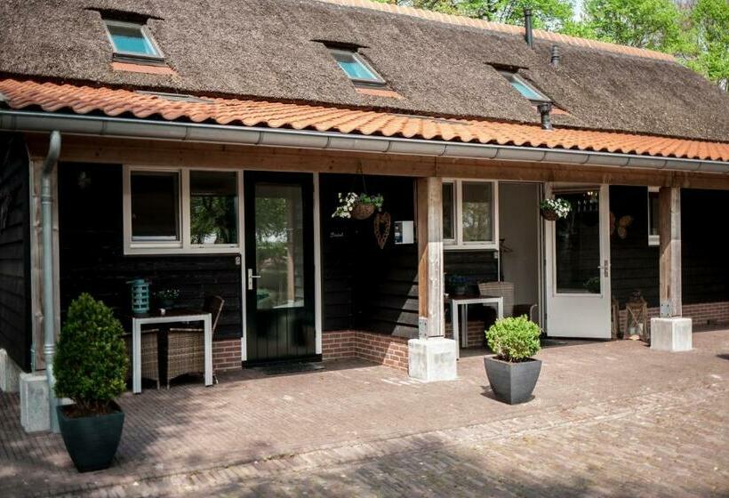 Bed and Breakfast Rheezerstee