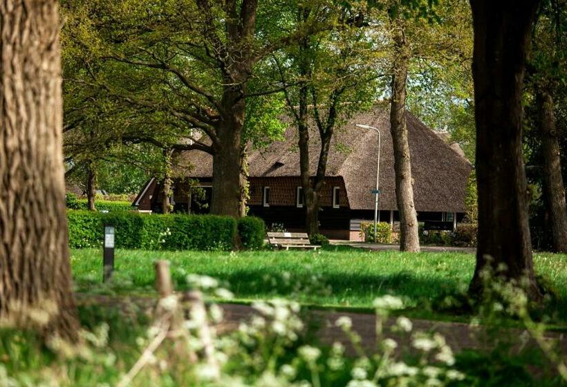 Bed and Breakfast Rheezerstee