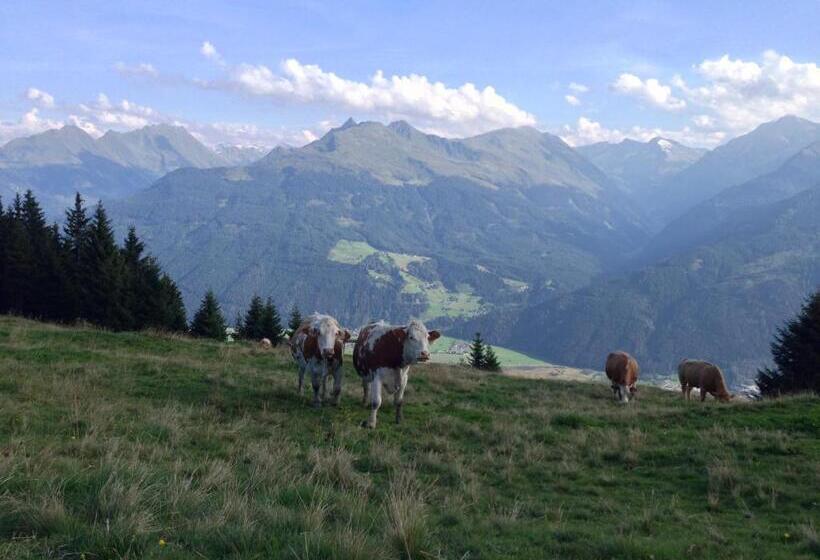 בית מלון כפרי Biobauernhof Kleinummerstall