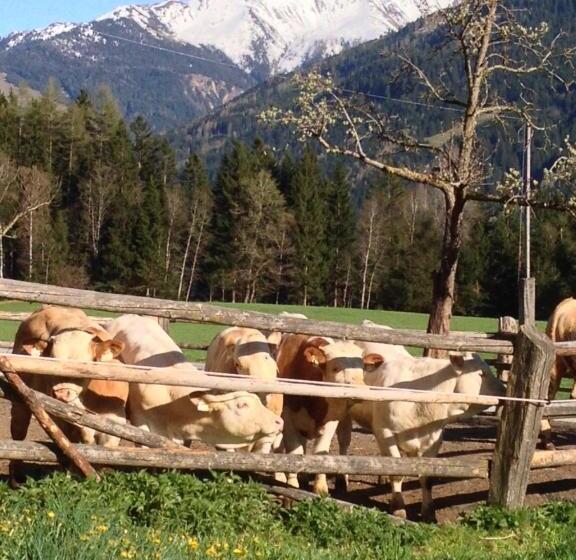 בית מלון כפרי Biobauernhof Kleinummerstall