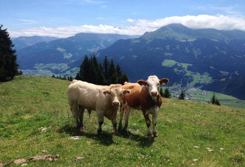 בית מלון כפרי Biobauernhof Kleinummerstall