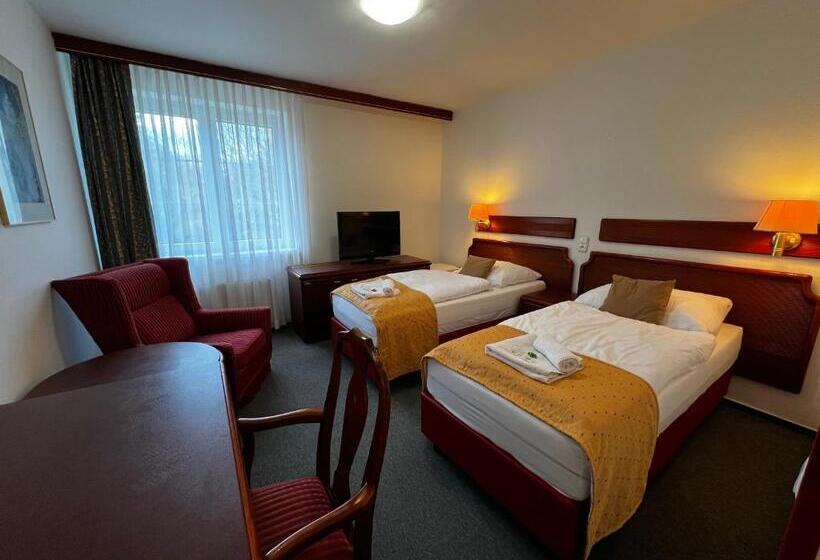 Отель Bohemia Excellent