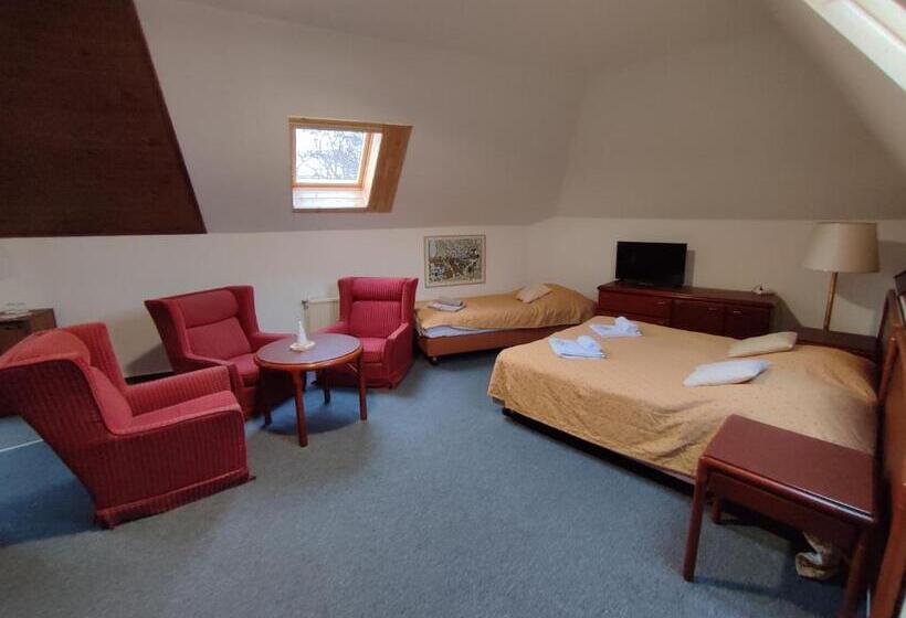 Отель Bohemia Excellent