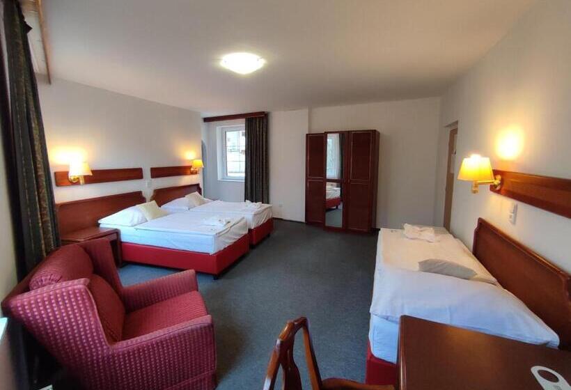 Отель Bohemia Excellent