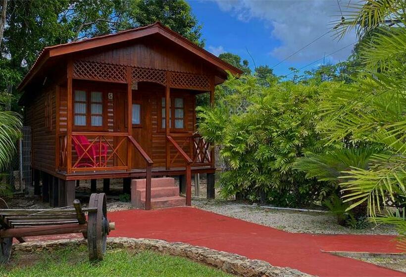 酒店 Villa Diamante