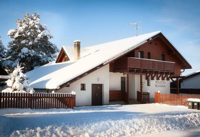 Pension Penzion Planiska