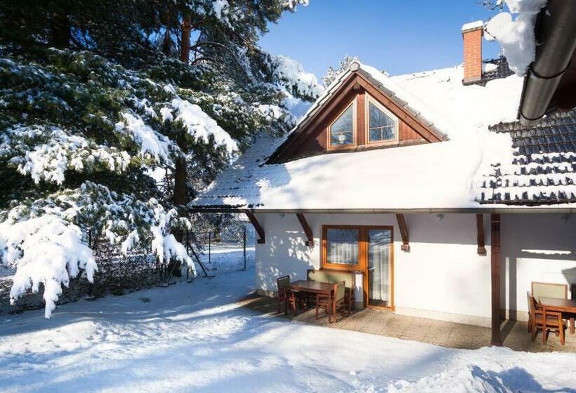 Pension Penzion Planiska