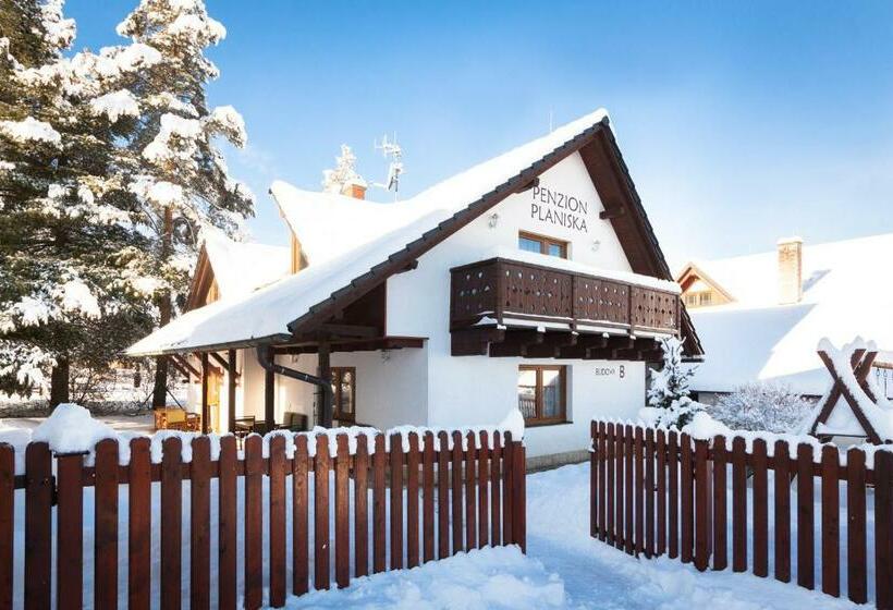Pension Penzion Planiska