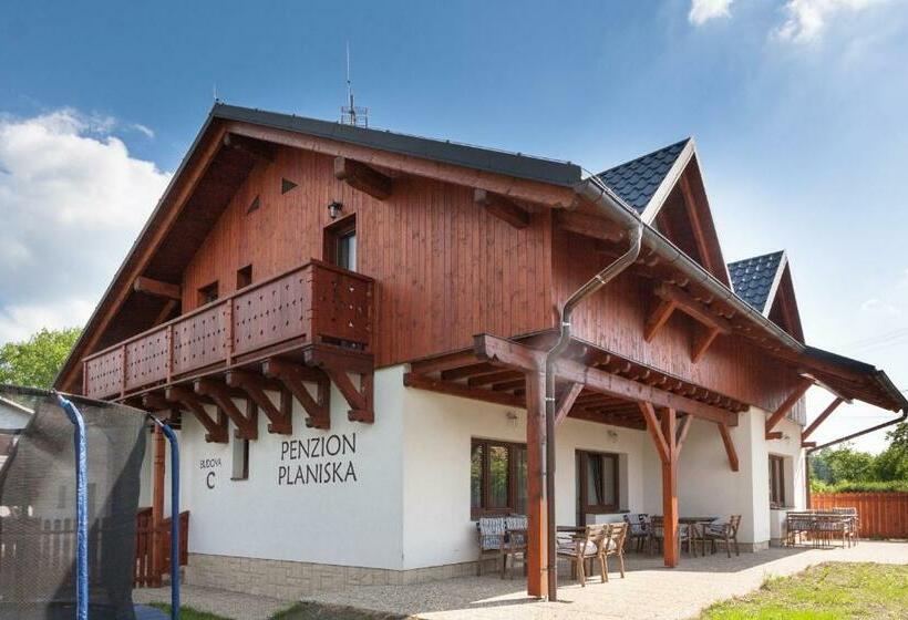 Pension Penzion Planiska