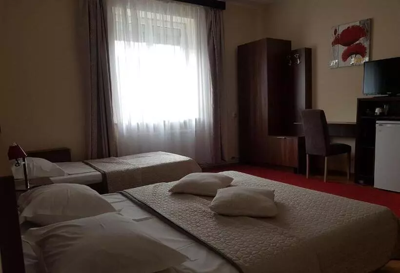 ペンション Villa Casa Ioana