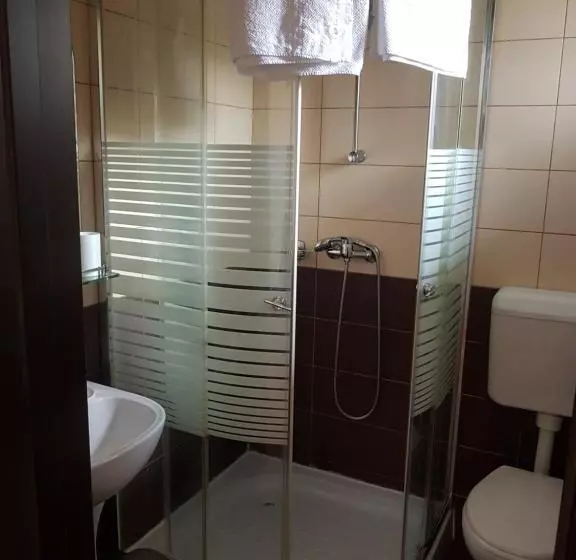 ペンション Villa Casa Ioana