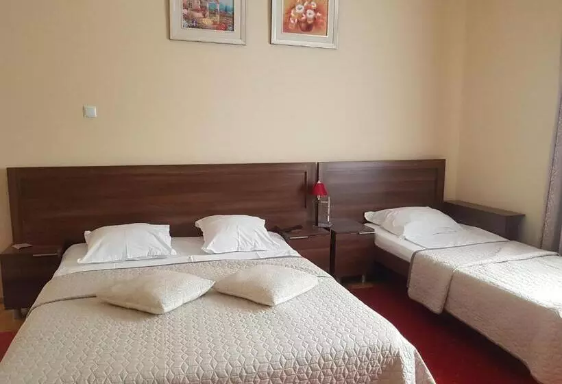 ペンション Villa Casa Ioana