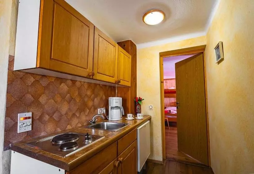 Hotelli Slovenian Traditional Guest House