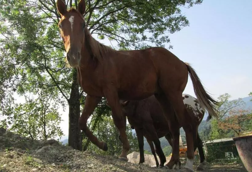 Hotelli Slovenian Traditional Guest House