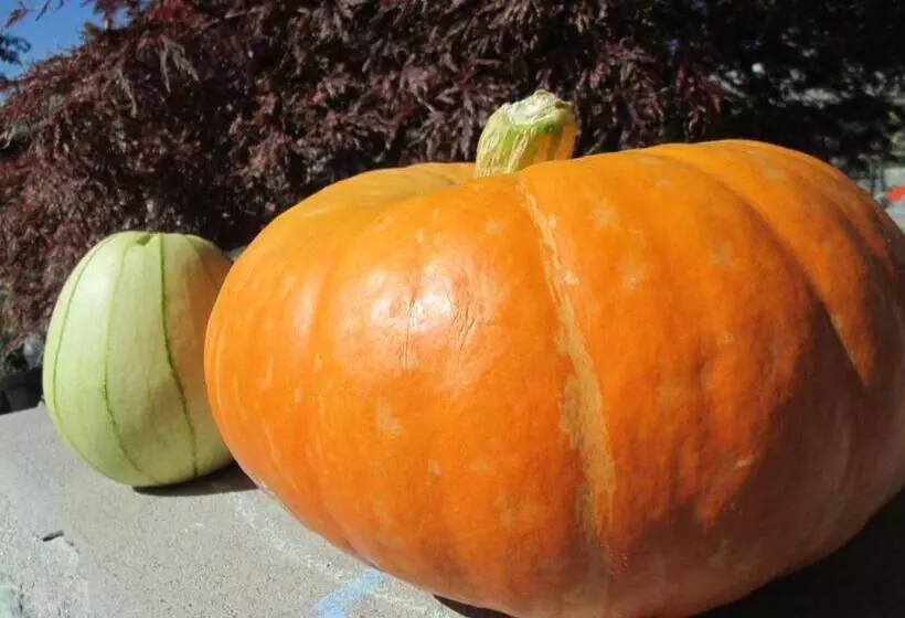 Hotelli Slovenian Traditional Guest House