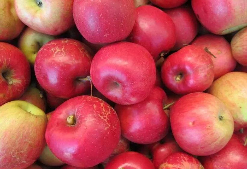 Hotelli Slovenian Traditional Guest House