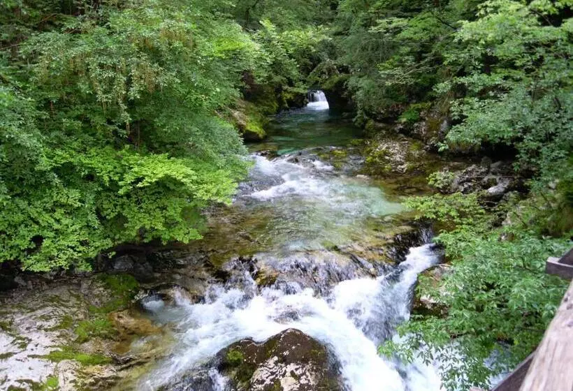 Hotelli Slovenian Traditional Guest House