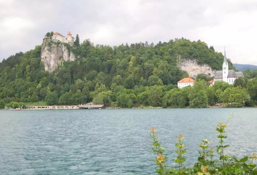 Hotelli Slovenian Traditional Guest House