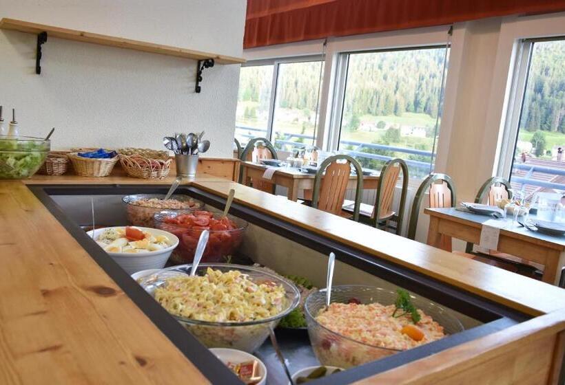 酒店 Village Club De Bois D Amont