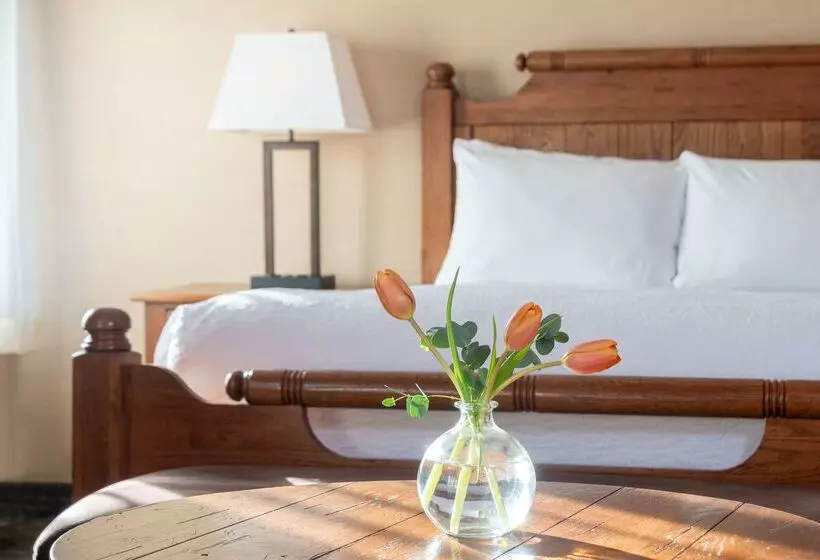 ホテル Best Western Plus Waterburystowe