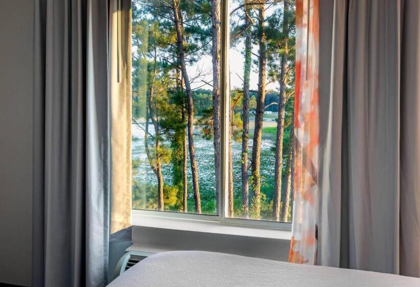 فندق Fairfield Inn & Suites Savannah Airport