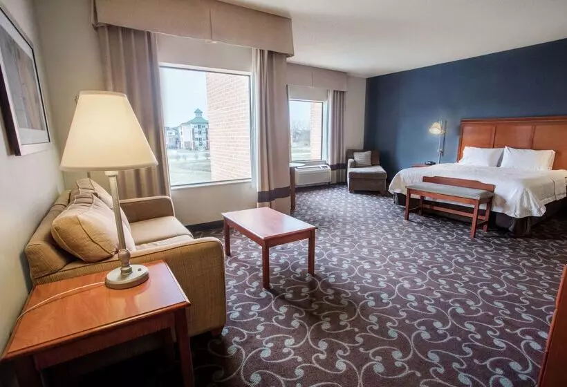 酒店 Hampton Inn & Suites Chicago Deer Park