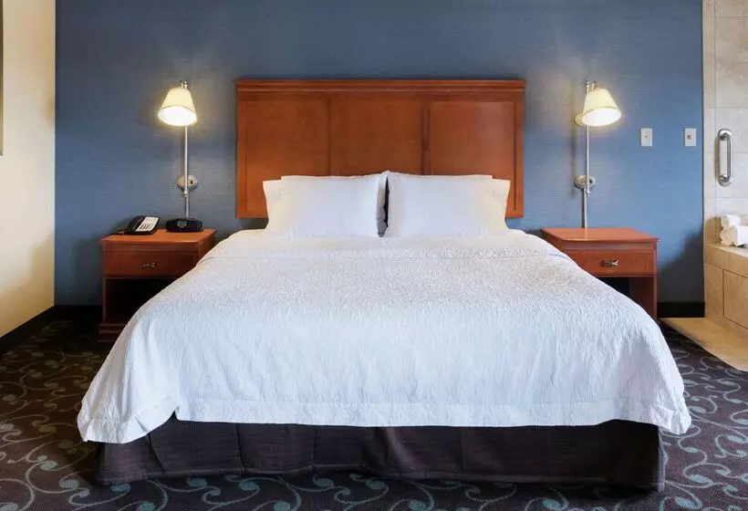 酒店 Hampton Inn & Suites Chicago Deer Park