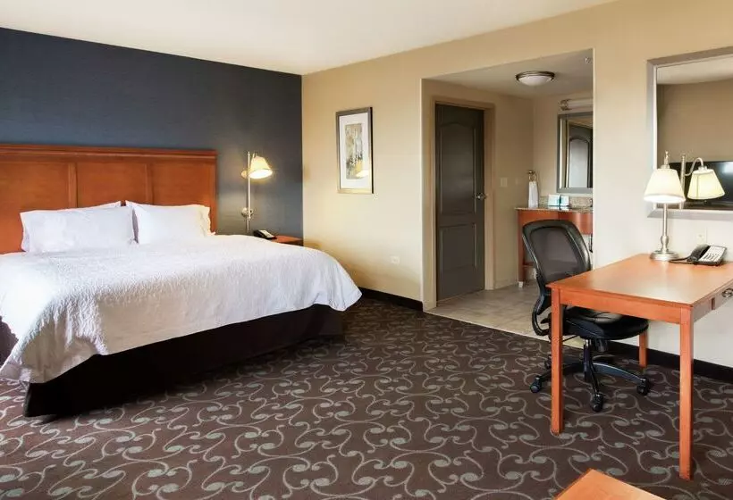 酒店 Hampton Inn & Suites Chicago Deer Park